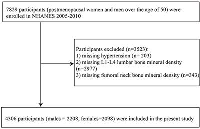 The role of hypertension in bone mineral density among males older than 50 years and postmenopausal females: evidence from the US National Health and Nutrition Examination Survey, 2005–2010